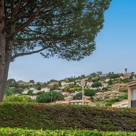Appartement Saint Clair Pieds Dans L'eau Le Lavandou