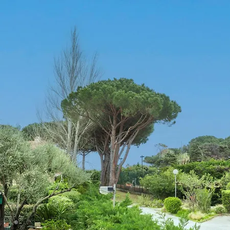 Appartement Saint Clair Pieds Dans L'eau Le Lavandou